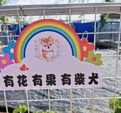 生活环境优美