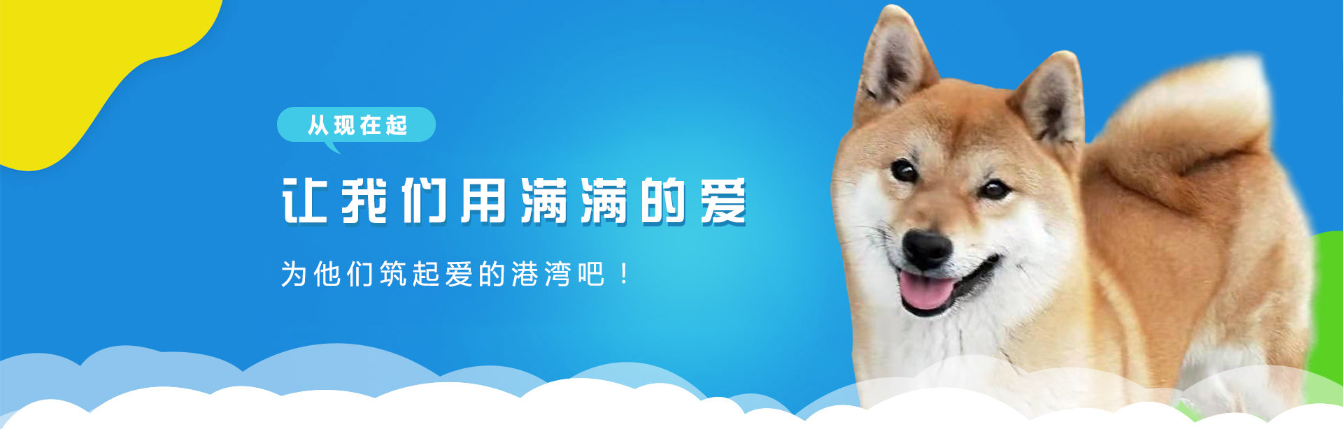 日本纯种柴犬