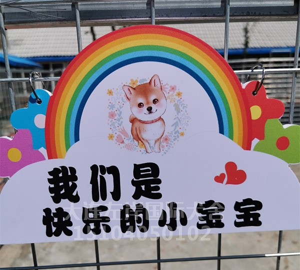 犬舍展示
