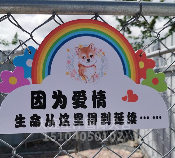 犬舍展示
