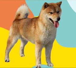 佐藤