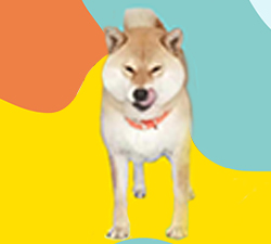 1576823884106546.jpg 04妞妞.jpg